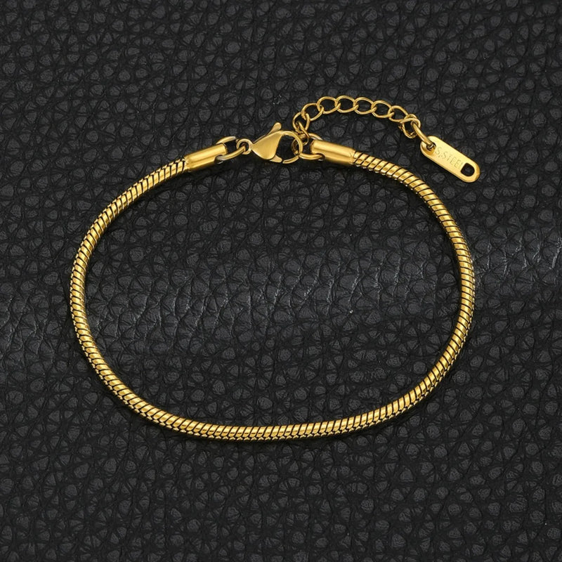 Snake Bone Chain Bracelet